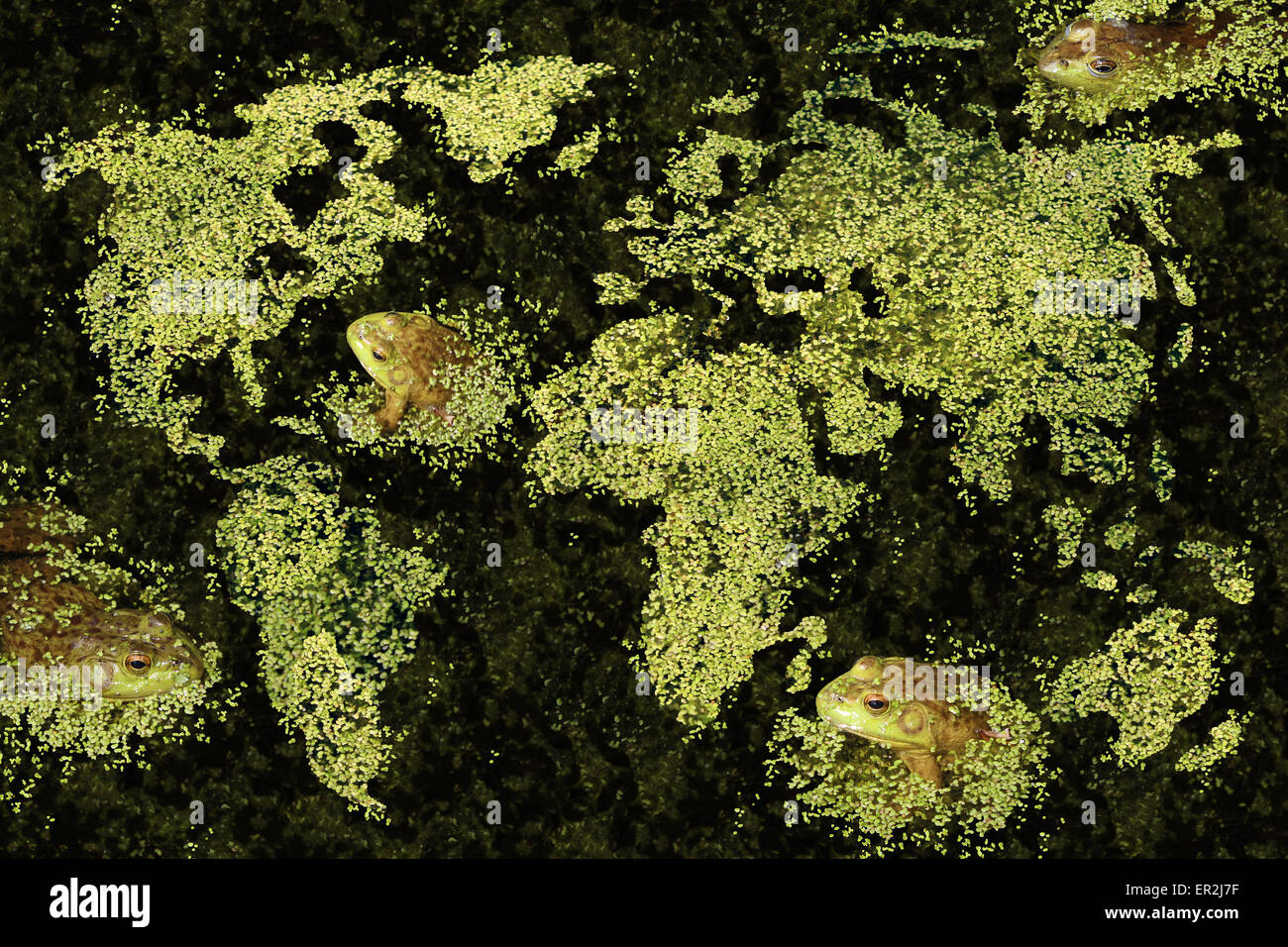 Concept de l'habitat à l'échelle mondiale et l'Organisation mondiale de conservation de l'environnement vert avec une lentille d'eau ou de plante aquatique carte de la planète Banque D'Images