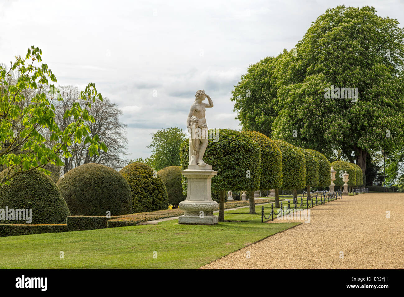 L'humeur du printemps, feuillage vert luxuriant sur les arbres et parfait en topiaire Waddesdon Manor Gardens, Aylesbury, Angleterre, Royaume-Uni Banque D'Images