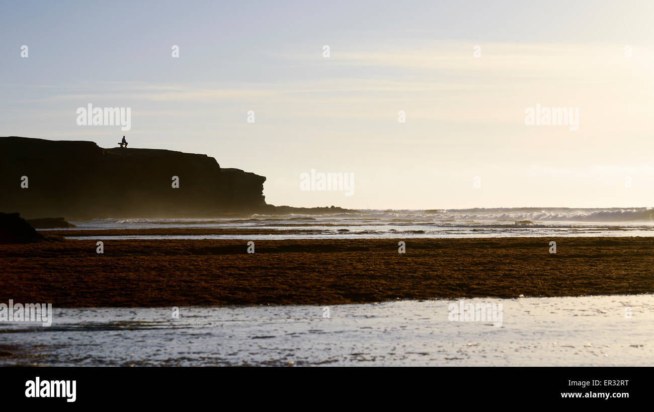 Profil de visage dans une falaise près de Sunset Cliffs à San Diego, Californie / © Craig M. Eisenberg Banque D'Images