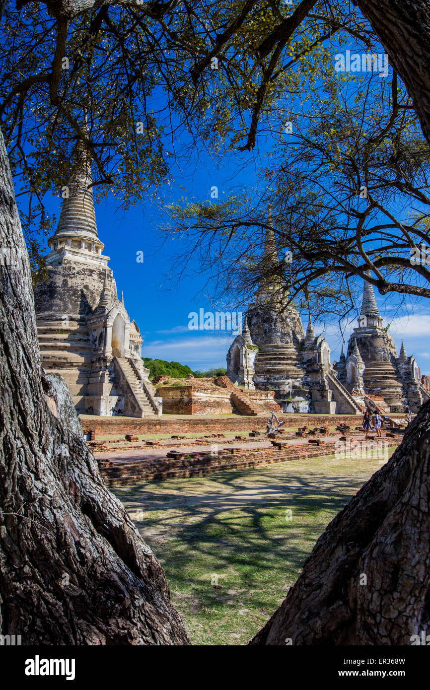 Phra Sri Sanphet temple le temple historique d'Ayutthaya, Thaïlande. Banque D'Images