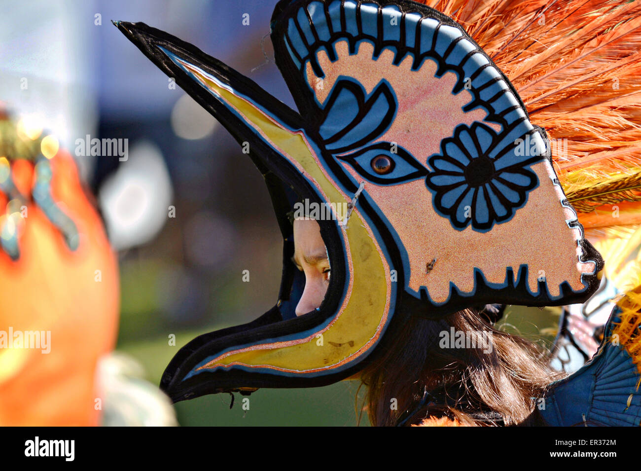 Amreicans la traditionnelle danse Native American Indian Gourd Dance à l'Assemblée annuelle de la Fête du patrimoine de pow-wow 25 novembre 2014 à South Gate, Californie. Banque D'Images