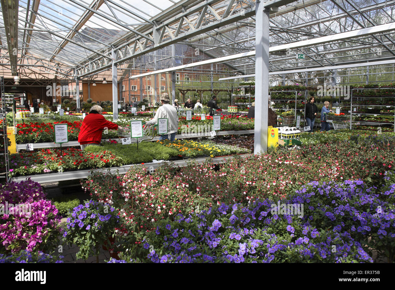 DEU, Allemagne, Hagen, dans un marché en plein air. DEU, Deutschland, Hagen, einem Gartencenter. Banque D'Images