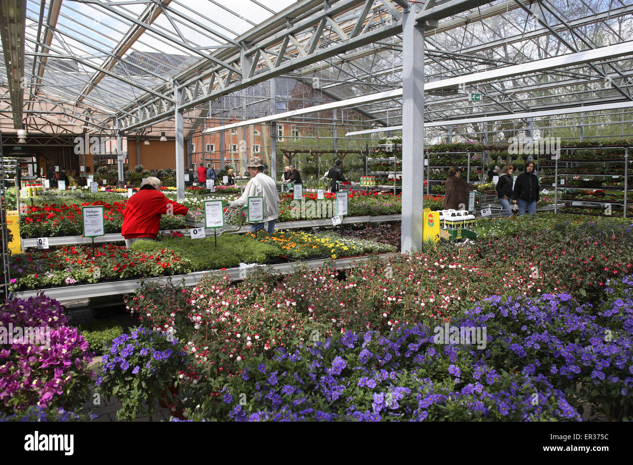 DEU, Allemagne, Hagen, dans un marché en plein air. DEU, Deutschland, Hagen, einem Gartencenter. Banque D'Images