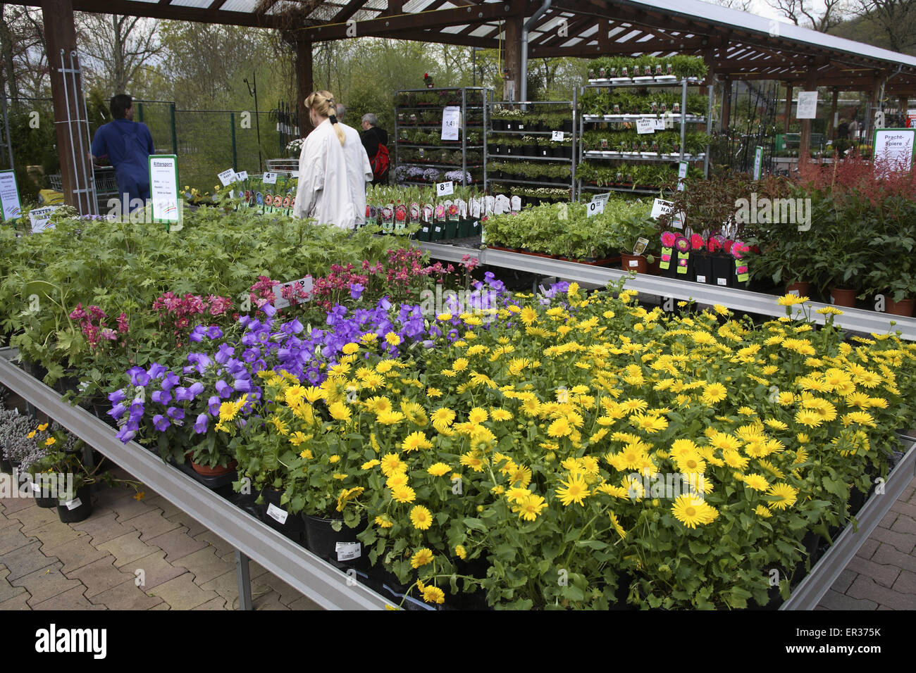 DEU, Allemagne, Hagen, dans un marché en plein air. DEU, Deutschland, Hagen, einem Gartencenter. Banque D'Images