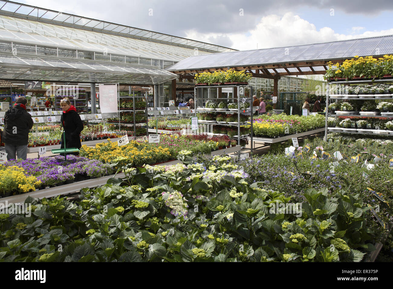DEU, Allemagne, Hagen, dans un marché en plein air. DEU, Deutschland, Hagen, einem Gartencenter. Banque D'Images