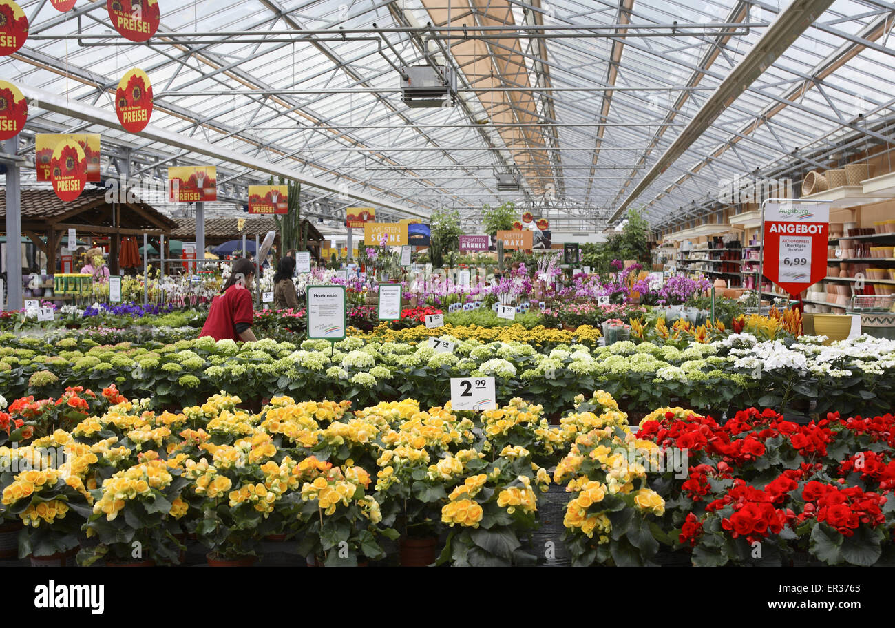DEU, Allemagne, Hagen, dans un marché en plein air. DEU, Deutschland, Hagen, einem Gartencenter. Banque D'Images