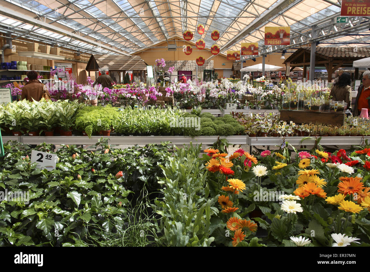 DEU, Allemagne, Hagen, dans un marché en plein air. DEU, Deutschland, Hagen, einem Gartencenter. Banque D'Images