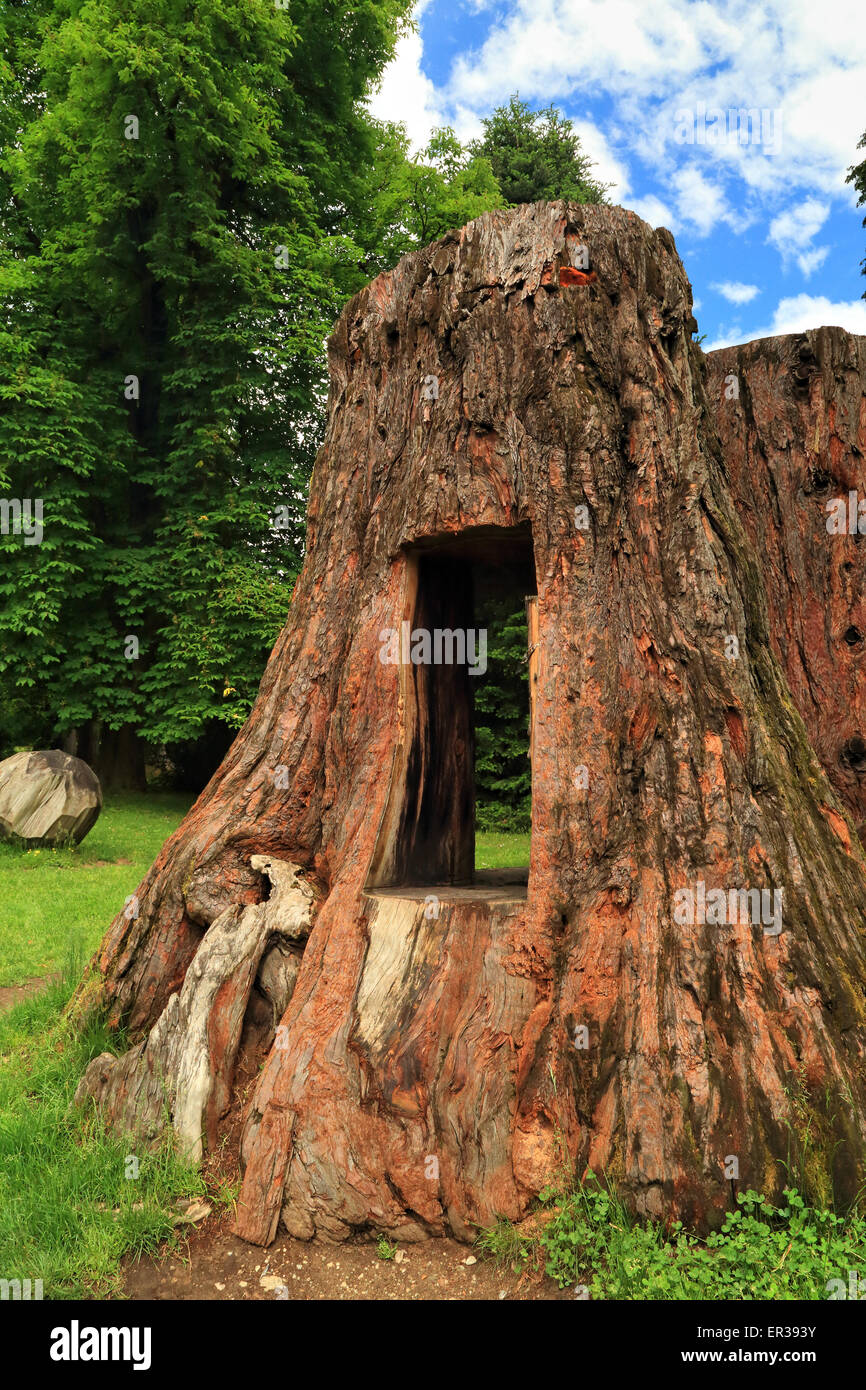 Mémorial de l'arbre Séquoia géant d'une sculpture par l'artiste Mari Shields au Parc des Habsbourg / Parco Asburgo, Levico Terme Banque D'Images