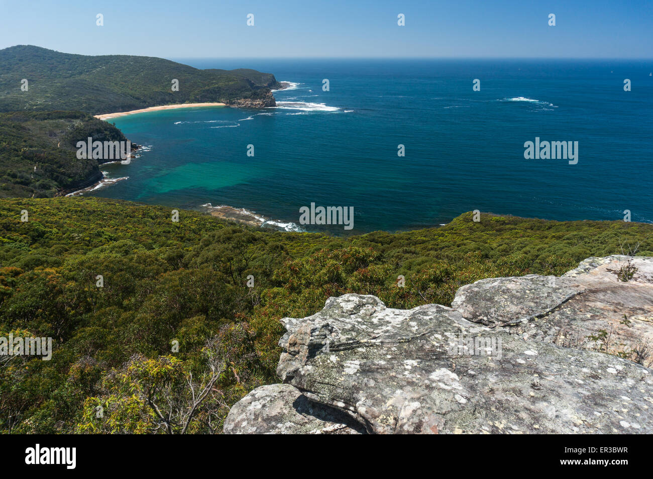 La côte de la baie de Maitland, Bouddi National Park, NSW, Australie Banque D'Images