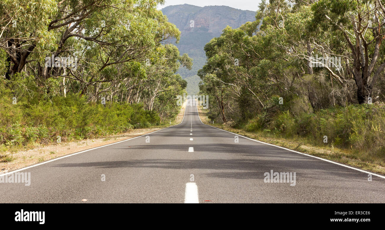 Vide bordée d'road, l'Australie, Victoria Grampians Banque D'Images