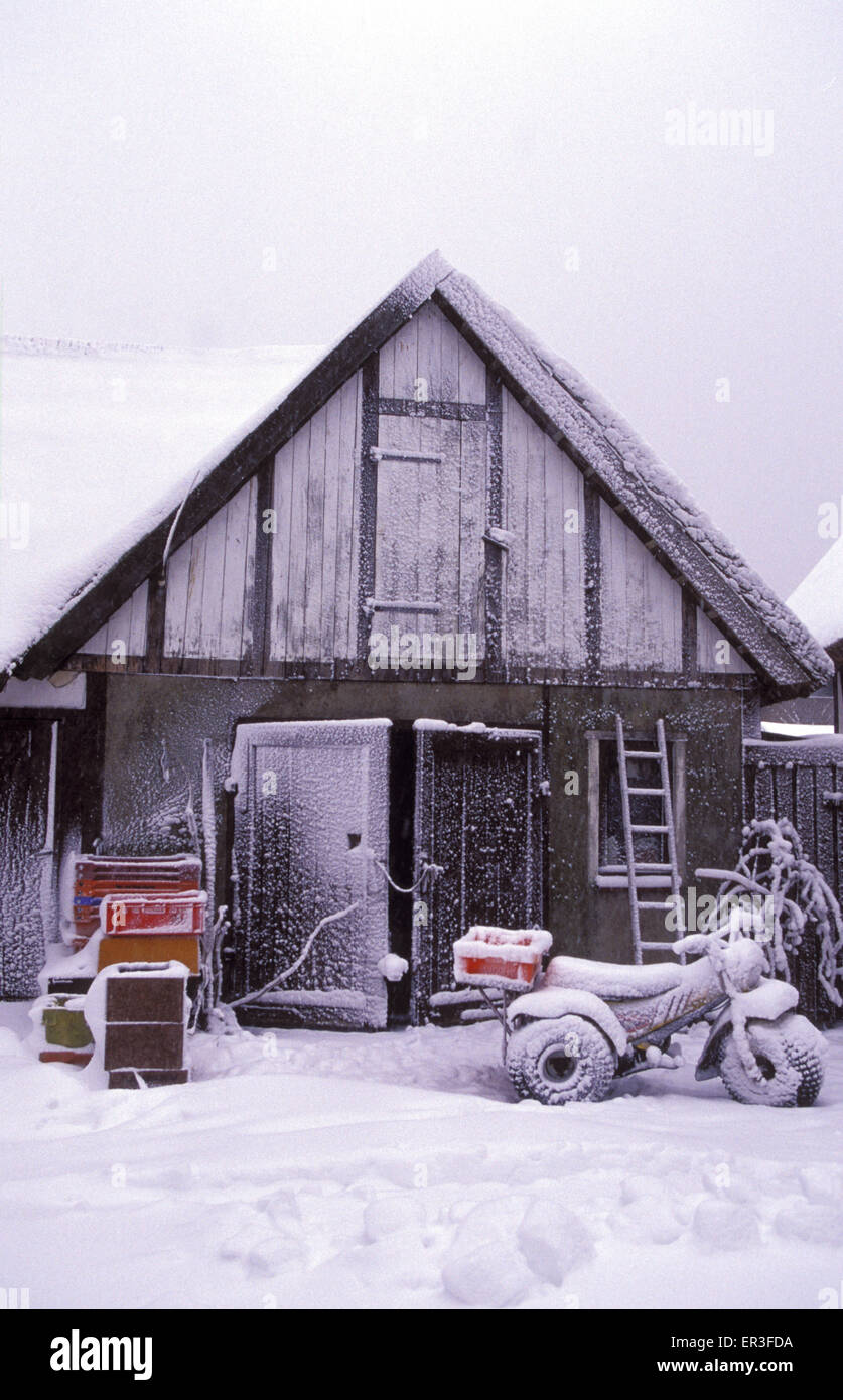 DEU, Allemagne, Mecklembourg-Poméranie-Occidentale, l'hiver en Ahrenshoop-Niehagen sur la mer Baltique, hangar couvert de neige. DEU, Deutschla Banque D'Images