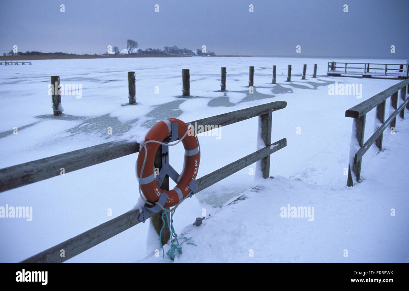 DEU, Germany, Wustrow sur la mer Baltique, l'hiver au port à l'Saaler Bodden. DEU, Deutschla Banque D'Images