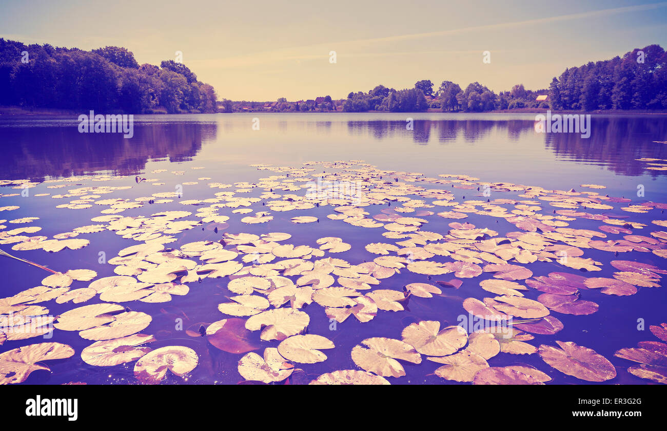 Tons Vintage vue panoramique sur le lac de nénuphars. Banque D'Images