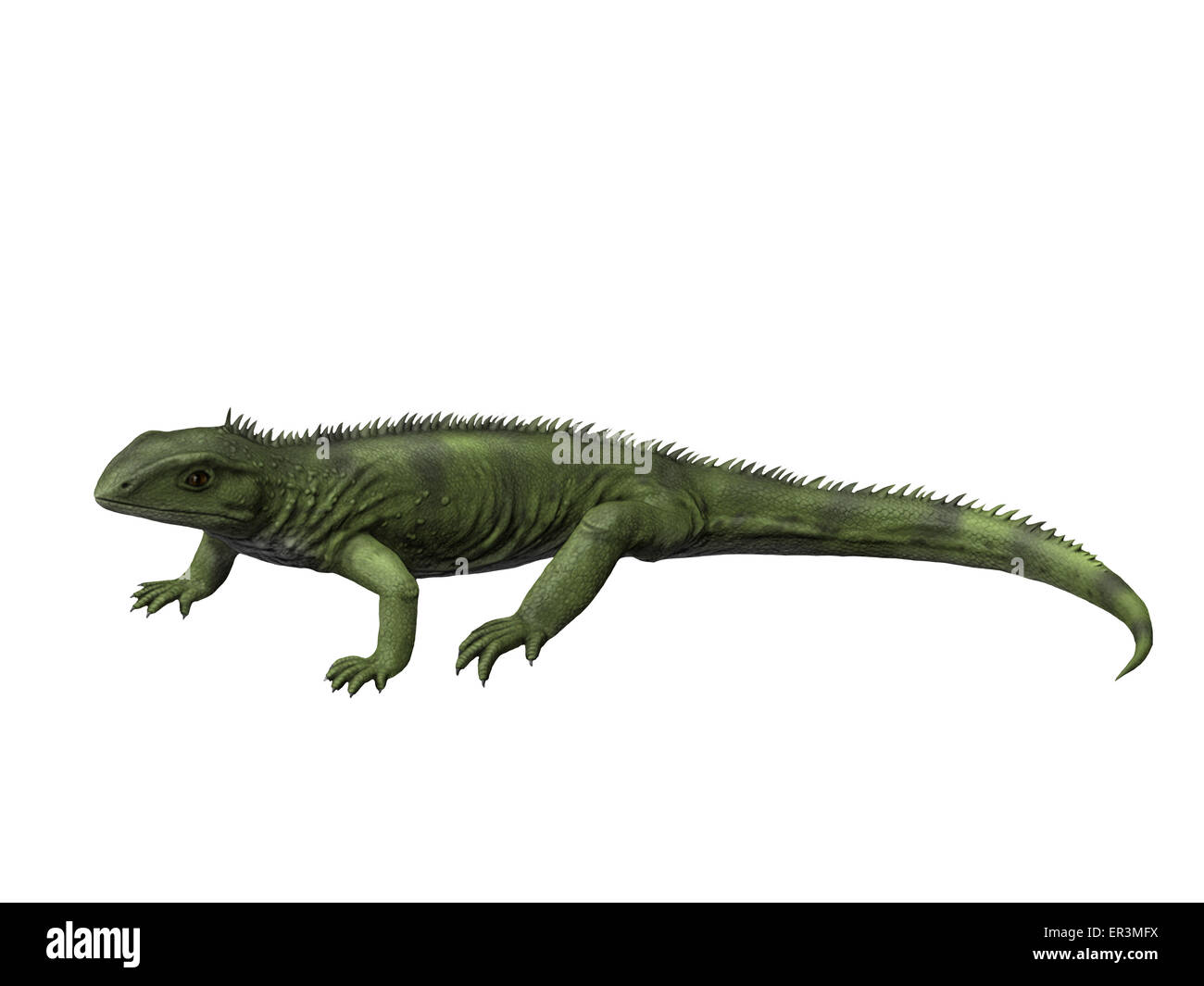 Gephyrosaurus Rhynchocephalian est une espèce de la période jurassique précoce du Pays de Galles. Banque D'Images