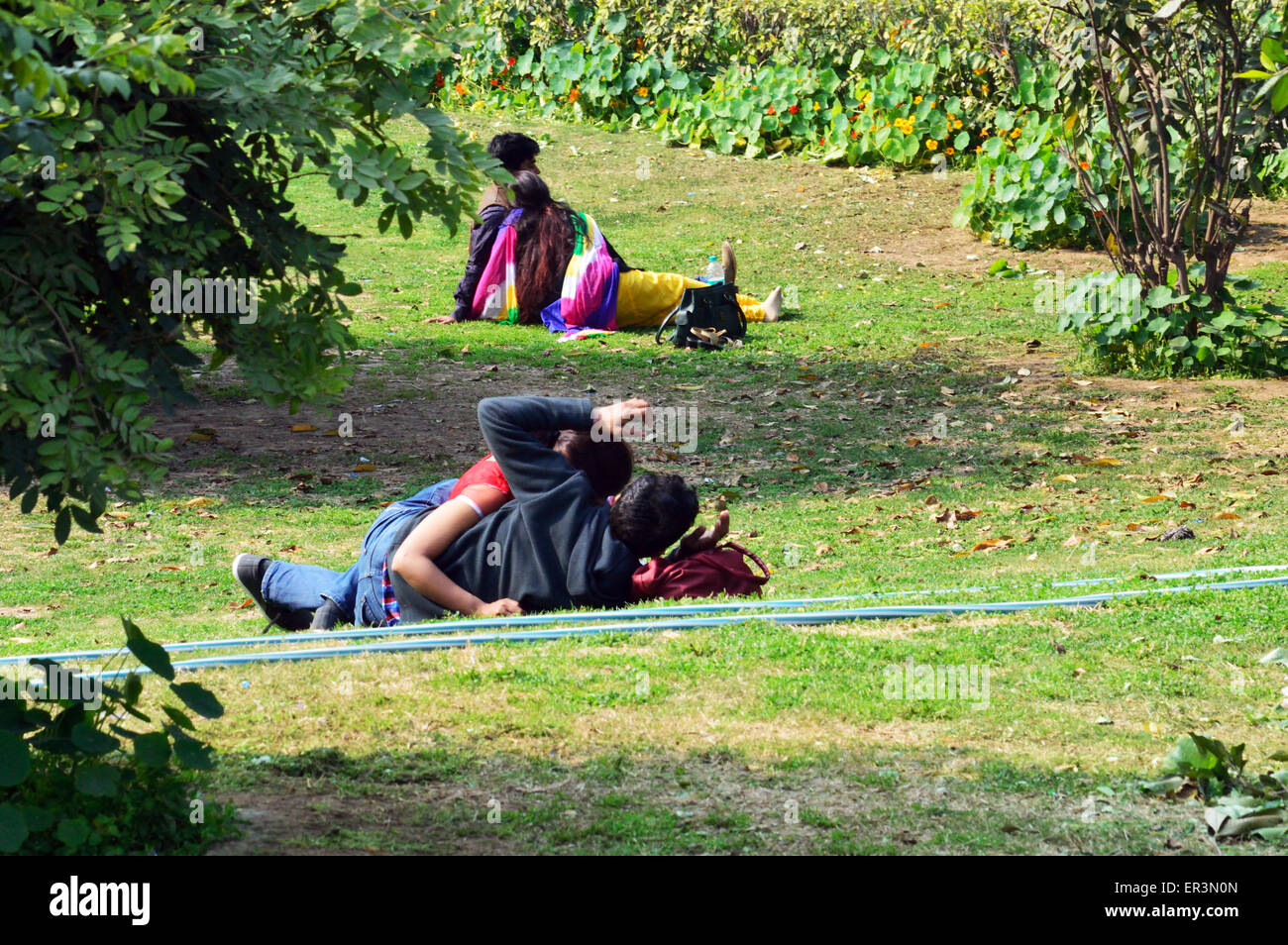 Jeune Indien des couples le Jour de Valentines célébrations Jardins Lodhi Delhi Inde 14th Feb 2015 Banque D'Images
