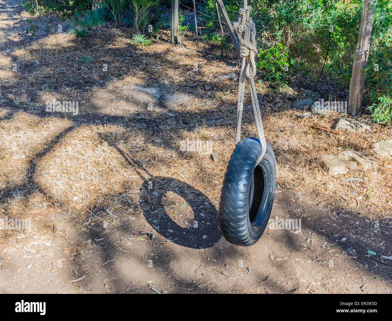 Une balançoire pneu est maintenu en place suspendu à un arbre par une  grosse corde Photo Stock - Alamy