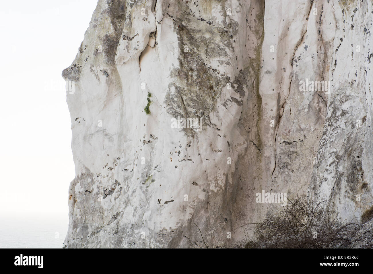 Détail d'une falaise de craie à moens klint au Danemark Banque D'Images