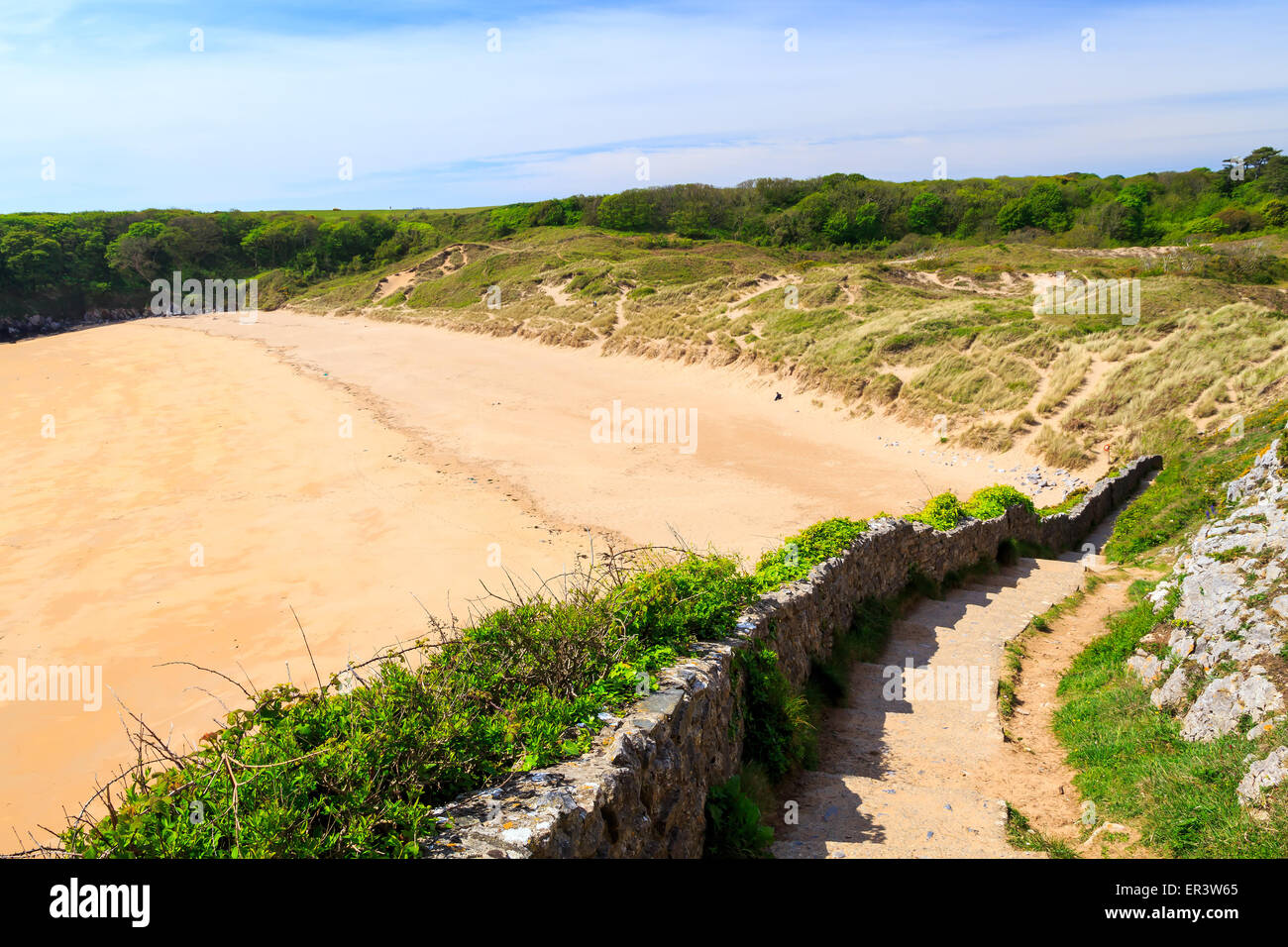 Surplombant la superbe plage à Barafundle Bay sur la côte du Pembrokeshire, Pays de Galles du sud de l'Europe au Royaume-Uni Banque D'Images