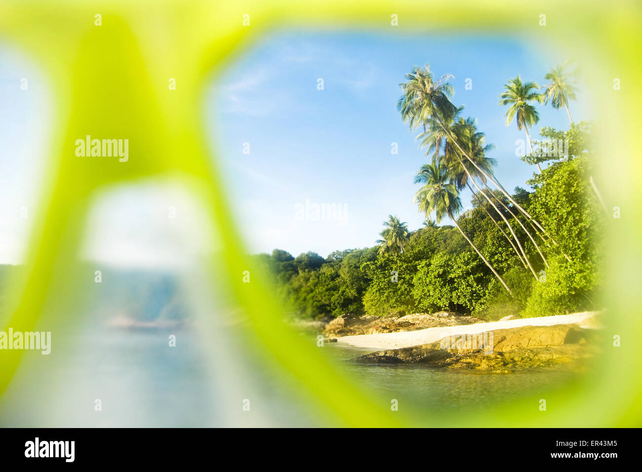 Plongée avec tuba au large de l'île de palmiers d'un cadre idyllique. Banque D'Images