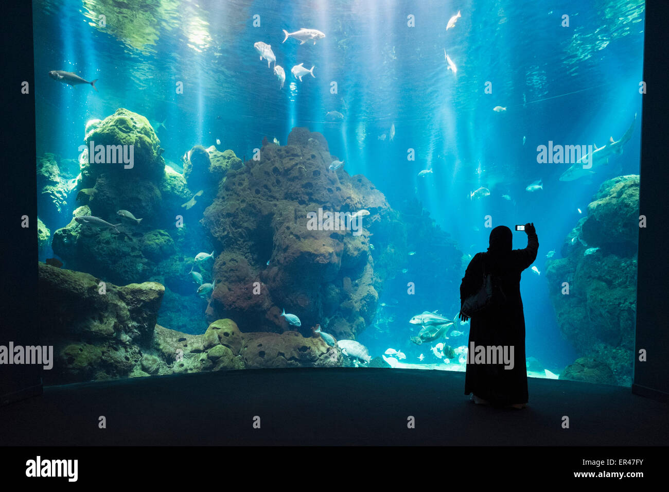 L'aquarium du Centre scientifique dans la ville de Koweït, Koweït. Banque D'Images