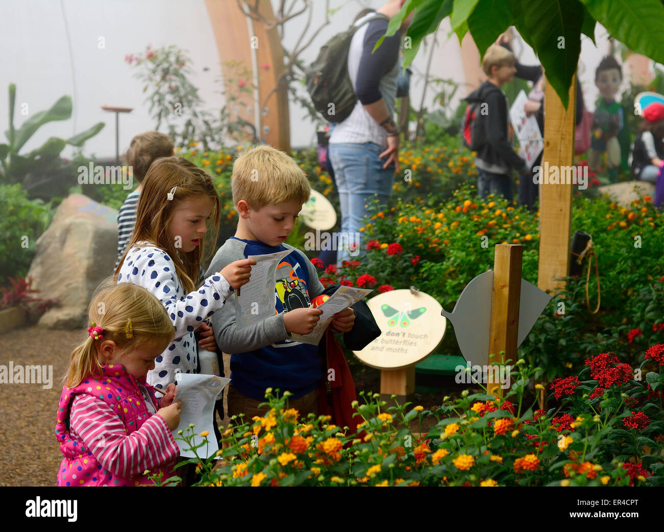 Les enfants à une maison de papillons de buttefly dans le zoo de Whipsnade, Bedfordshire (usage éditorial uniquement) Banque D'Images