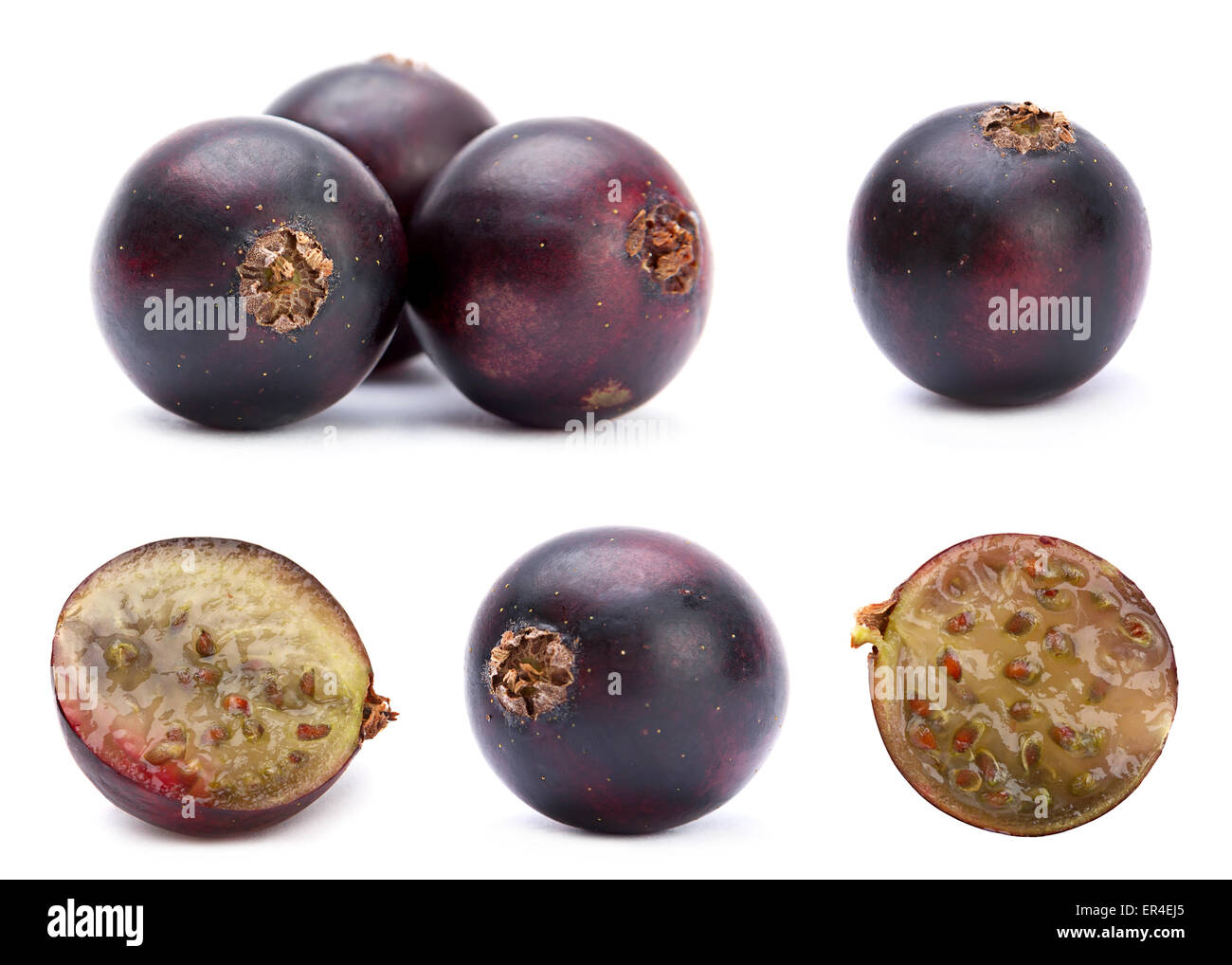 Big Black Currant set isolated on white Banque D'Images