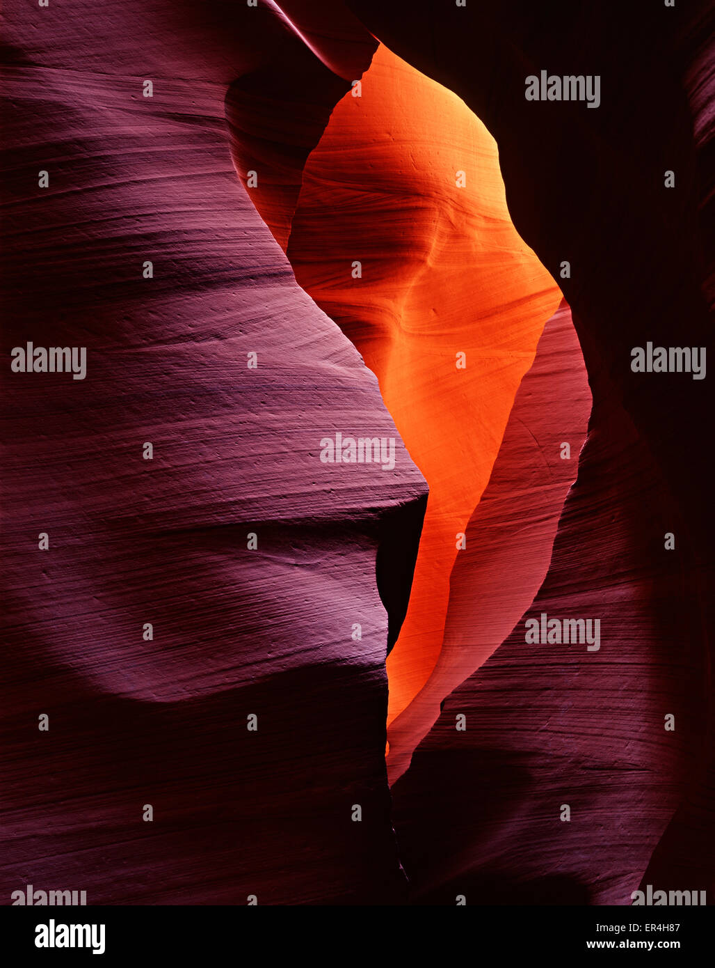 Logement à l'intérieur d'un canyon, Utah. Cette image a été prise avec un grand format 4x5' L'appareil photo. Banque D'Images