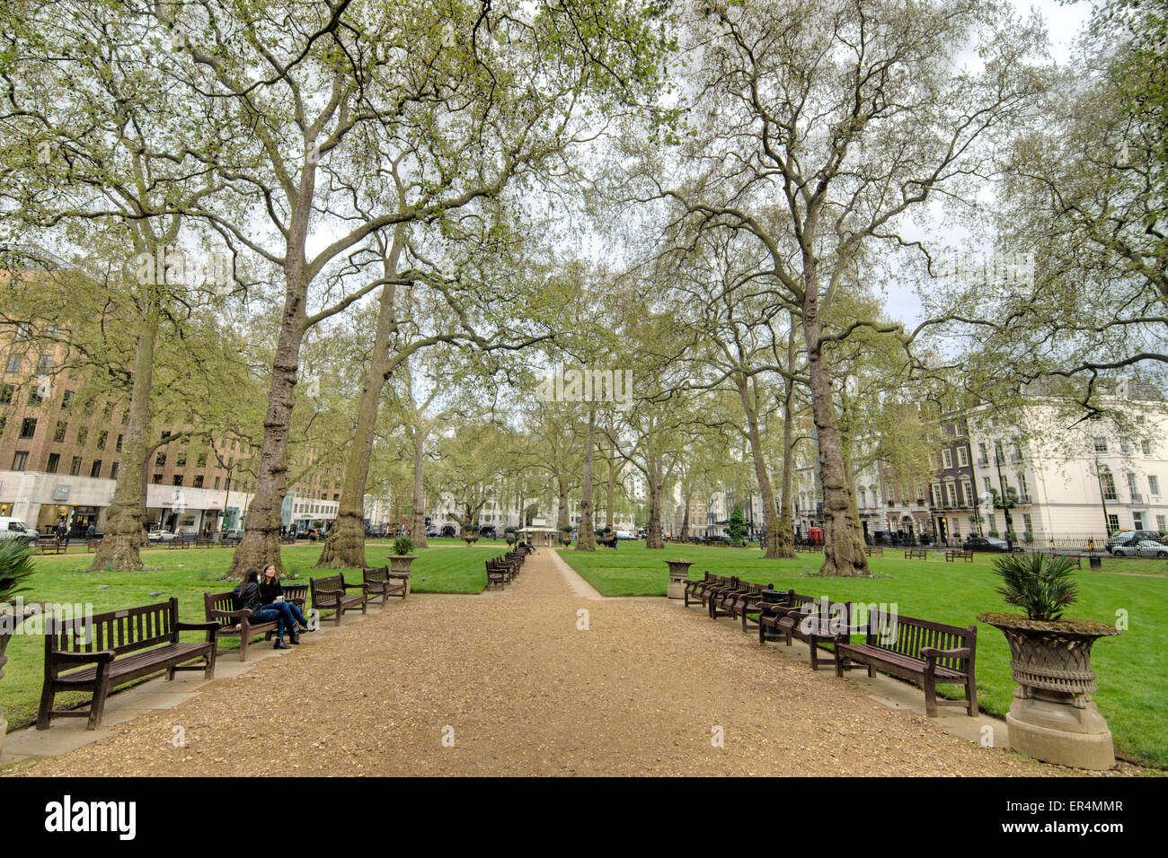 Berkley Square Garden Square Londres platanes Banque D'Images