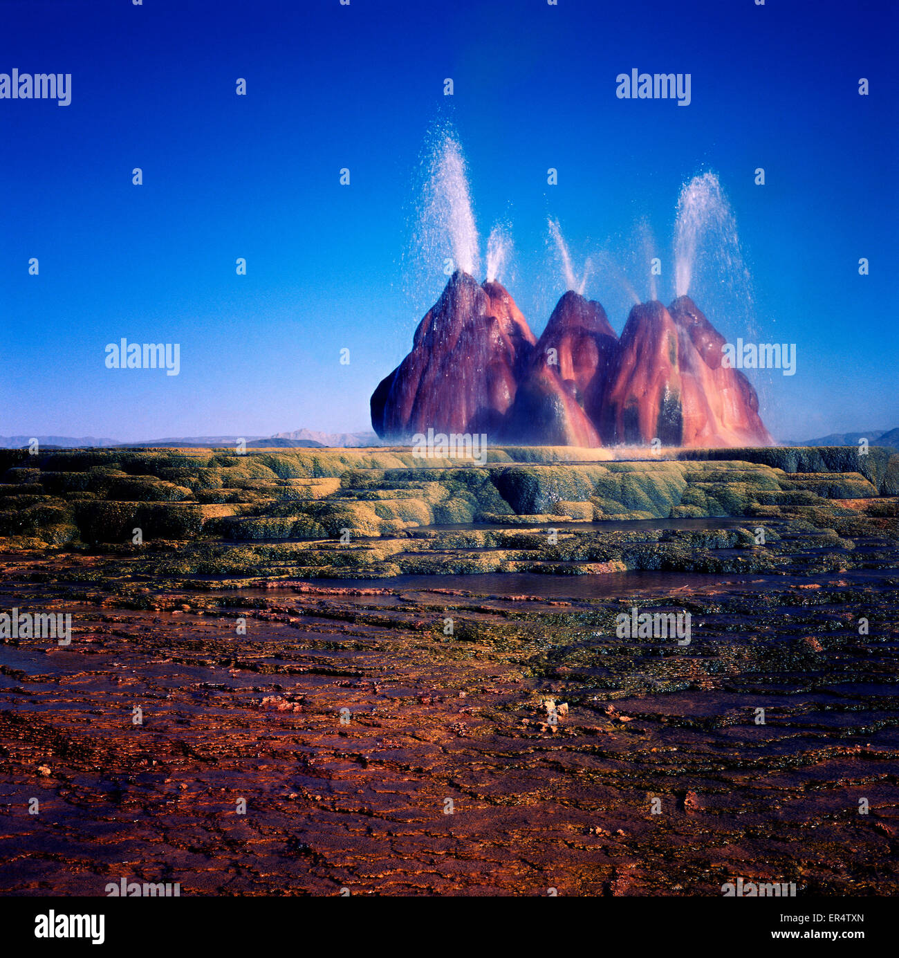 Il s'agit d'une image d'un geyser dans le Black Rock Desert, Nevada. j'ai pris cette image avec une 6x6cm appareil moyen format. Banque D'Images