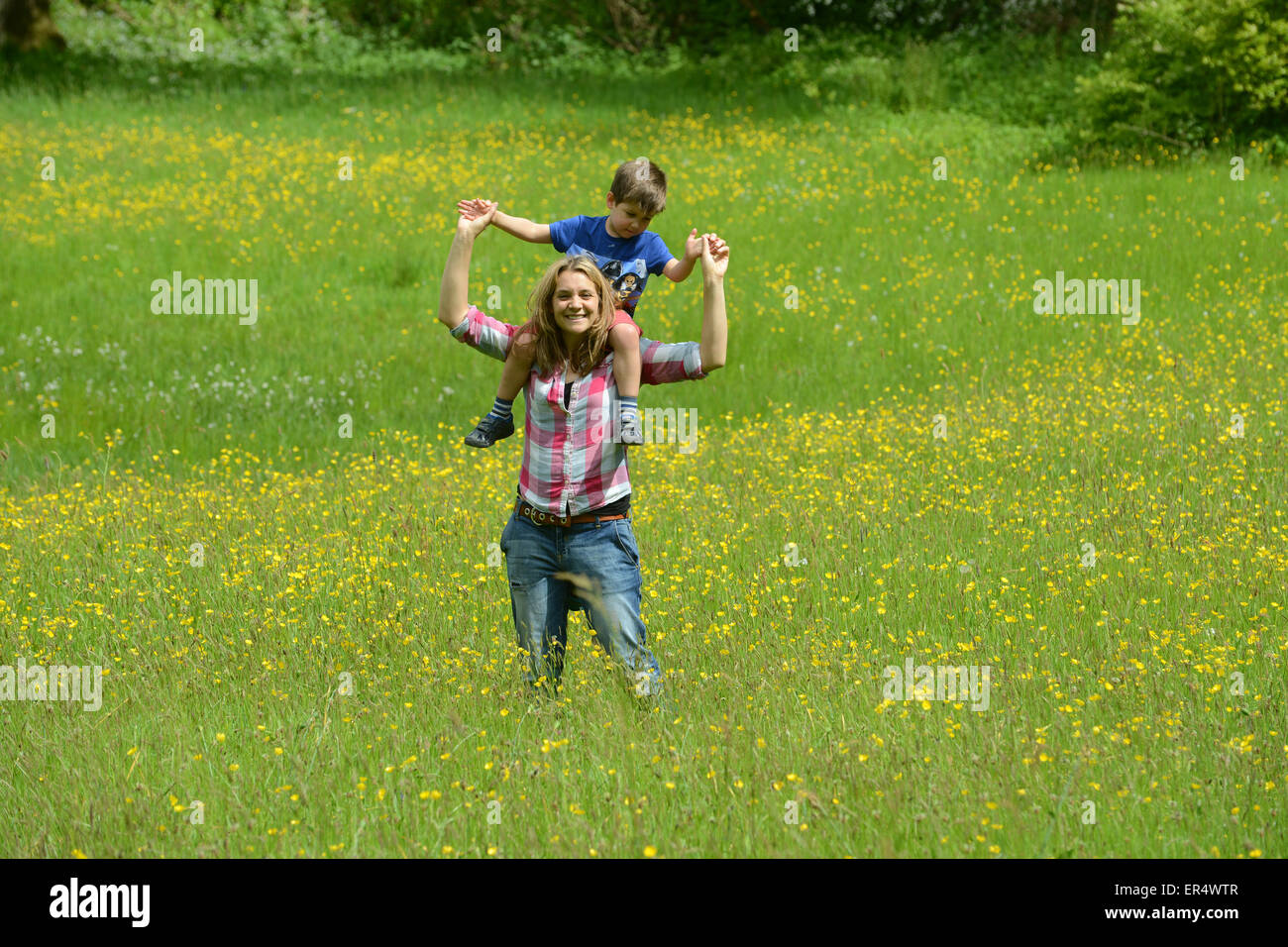 Femme mère et l'enfant marche à travers buttercup prairie au printemps Uk Banque D'Images