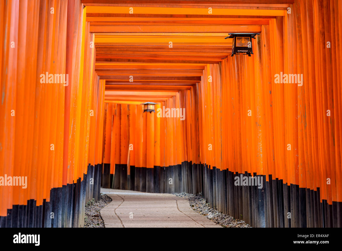 Fushimi Inari torii gates à Kyoto, au Japon. Banque D'Images