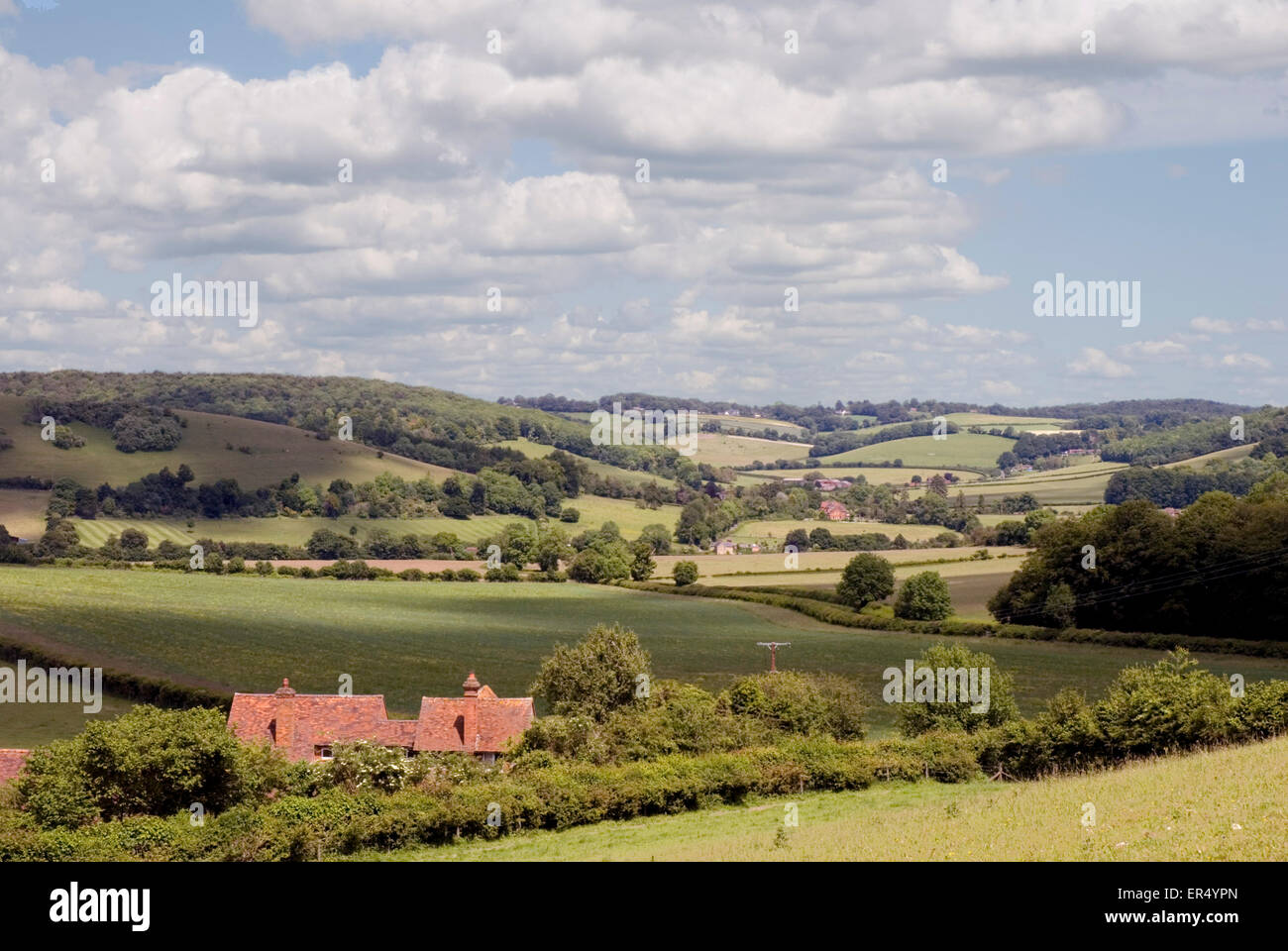 Argent - Chiltern Hills - paysage rural - haies - domaines - Gîte de toits - collines - soleil et ombre Banque D'Images
