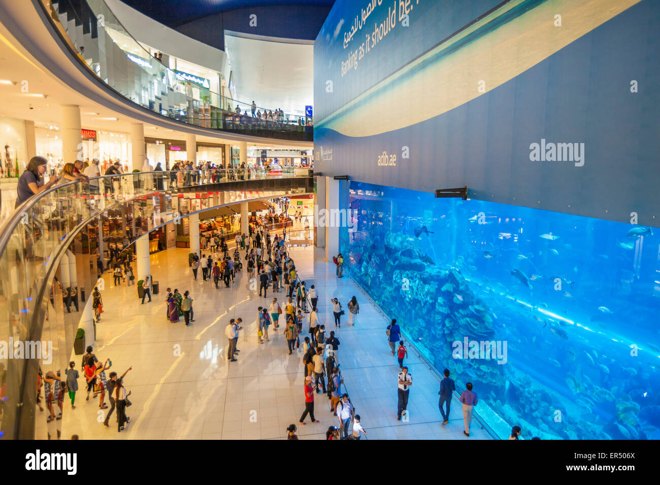 Aquarium de Dubaï, Dubaï Mall, la ville de Dubaï, Émirats arabes unis, ÉMIRATS ARABES UNIS, Moyen Orient Banque D'Images