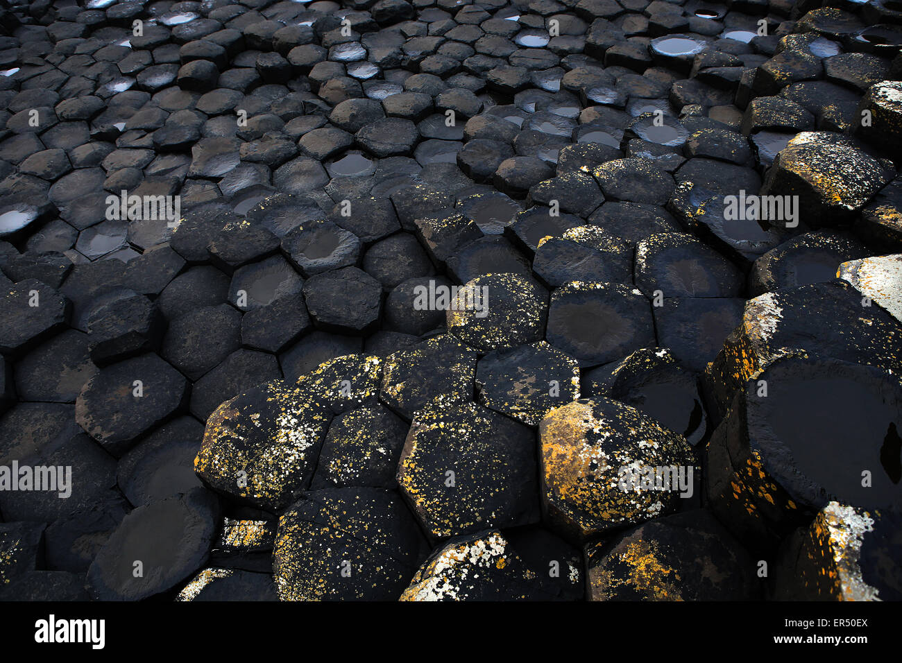 Giant's Causeway.le comté d'Antrim.L'Irlande du Nord.UK.Europe.des orgues basaltiques hexagonales typiques Banque D'Images