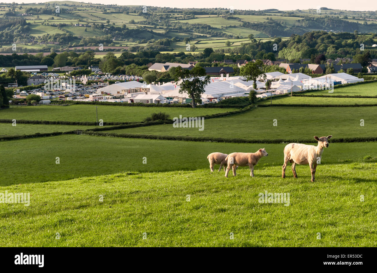 Le Hay Festival de la littérature et les arts, Hay-on-Wye, au Royaume-Uni. Une vue sur le site du festival, dans une belle campagne Banque D'Images