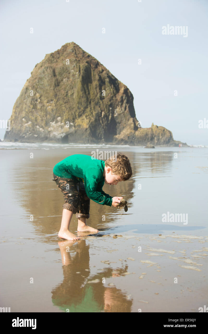 Bébé garçon à la recherche de trésors dans l'avant de Haystack Rock sur Cannon Beach, Oregon. Banque D'Images