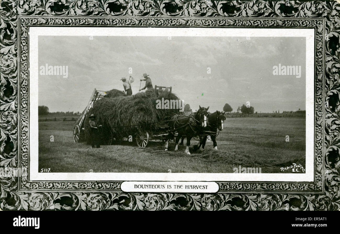 Fenaison Banque D'Images