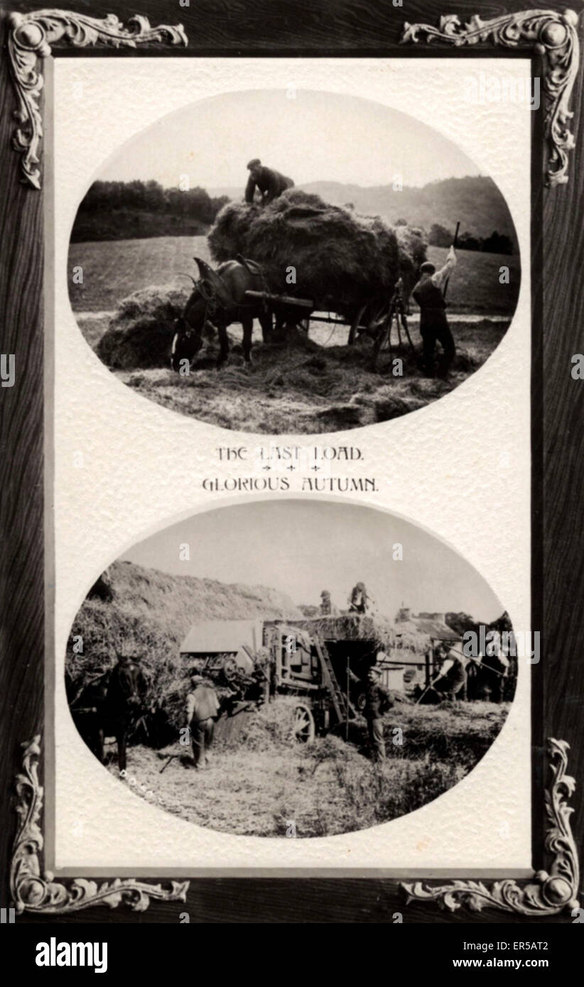 Fenaison Banque D'Images