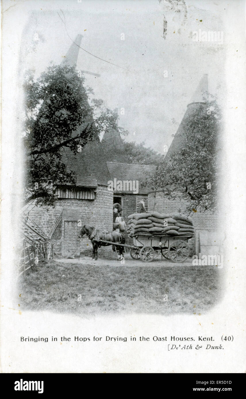The Maltings, Maidstone, Kent, Angleterre. Montrant l'&AMP ; panier de houblon 1908 Banque D'Images