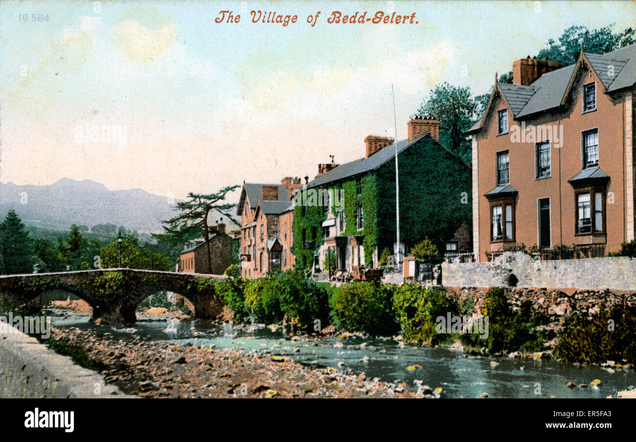 Le village, Beddgelert, Caernarvonshire Banque D'Images