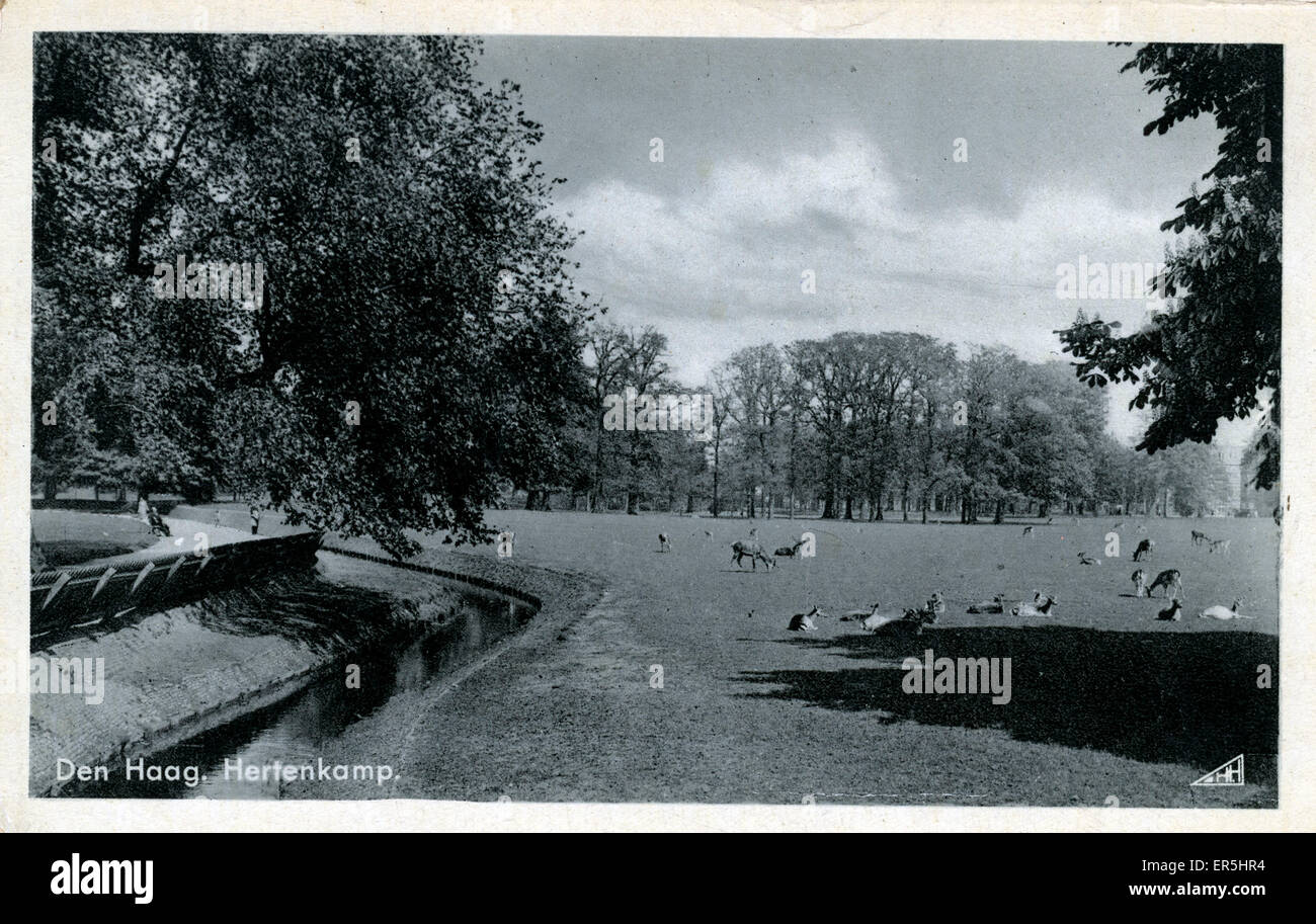 Le Deer Park, la Haye, South Holland Banque D'Images