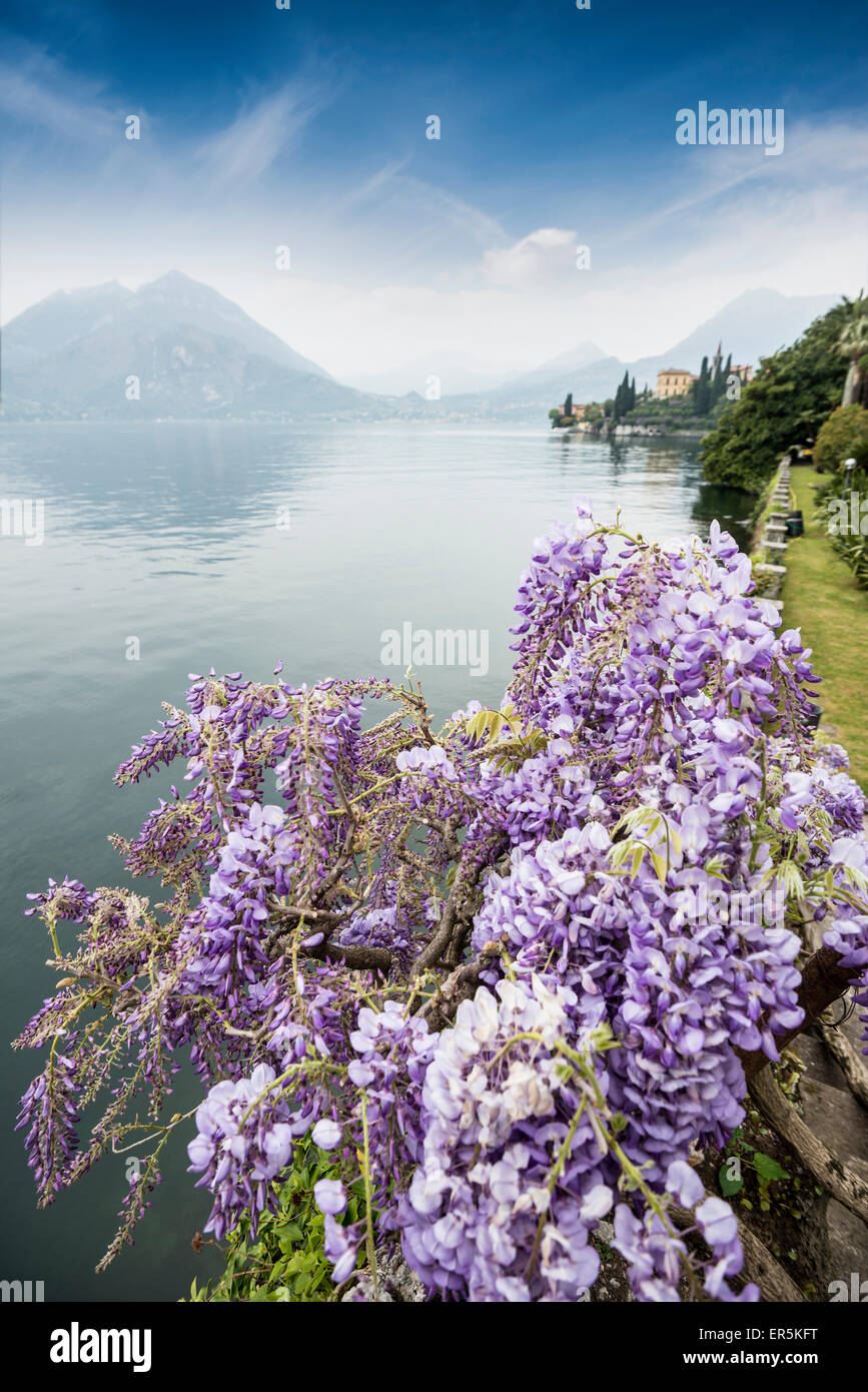 Les jardins de Villa Monastero, Varenna, Lac de Côme, Lago di Como, province de Lecco, Lombardie, Italie Banque D'Images