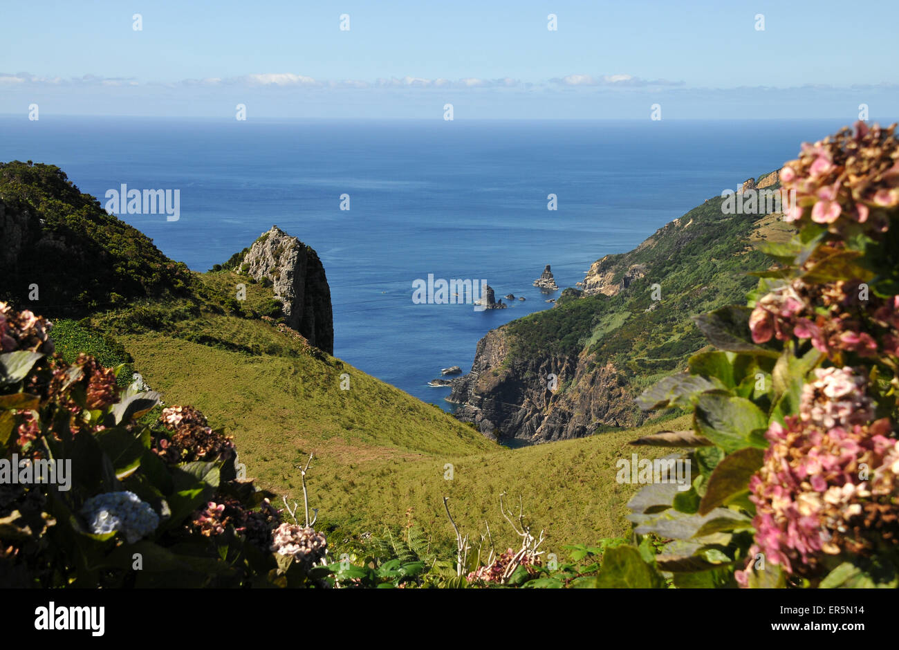 Paysage côtier près de Lajedo, côte sud-ouest, l'île de Flores, Açores, Portugal Banque D'Images