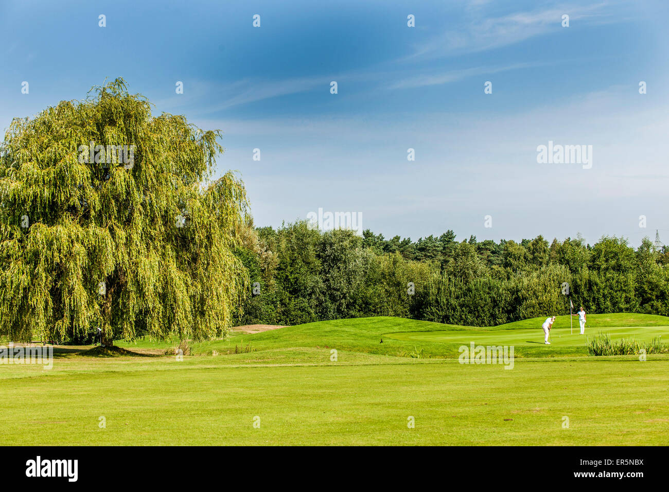 2 femmes des golfeurs sur le green, green de golf, Eagle Winsen Luhe, Radbruch, Niedersachsen, Allemagne du Nord, Allemagne Banque D'Images