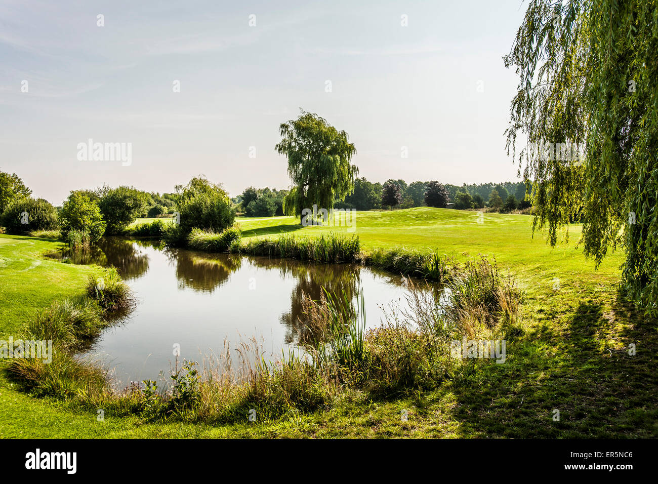 Green de golf, Eagle Winsen Luhe, Radbruch, Niedersachsen, Allemagne du Nord, Allemagne Banque D'Images