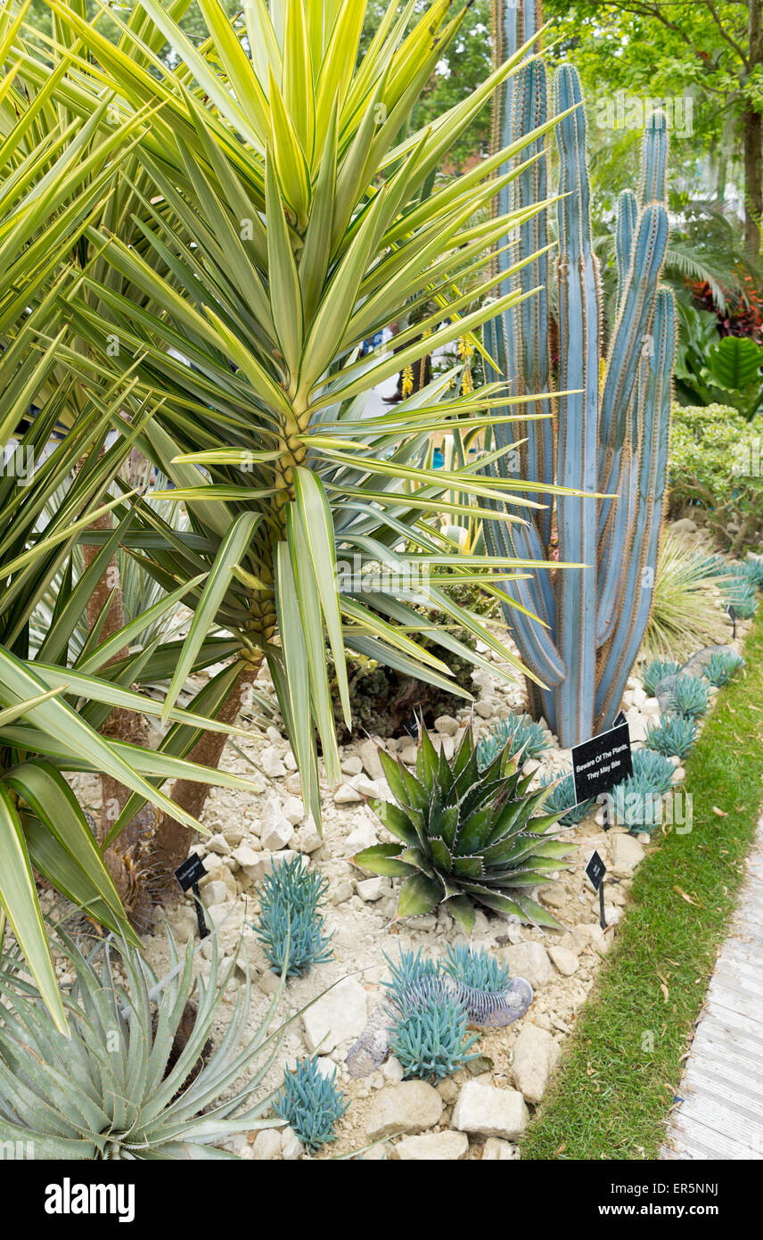 Au-delà de nos frontières par APHA Jardin, conçu par Sarah Eberle, médaillé d'or aux RHS Chelsea Flower Show 2015 Banque D'Images