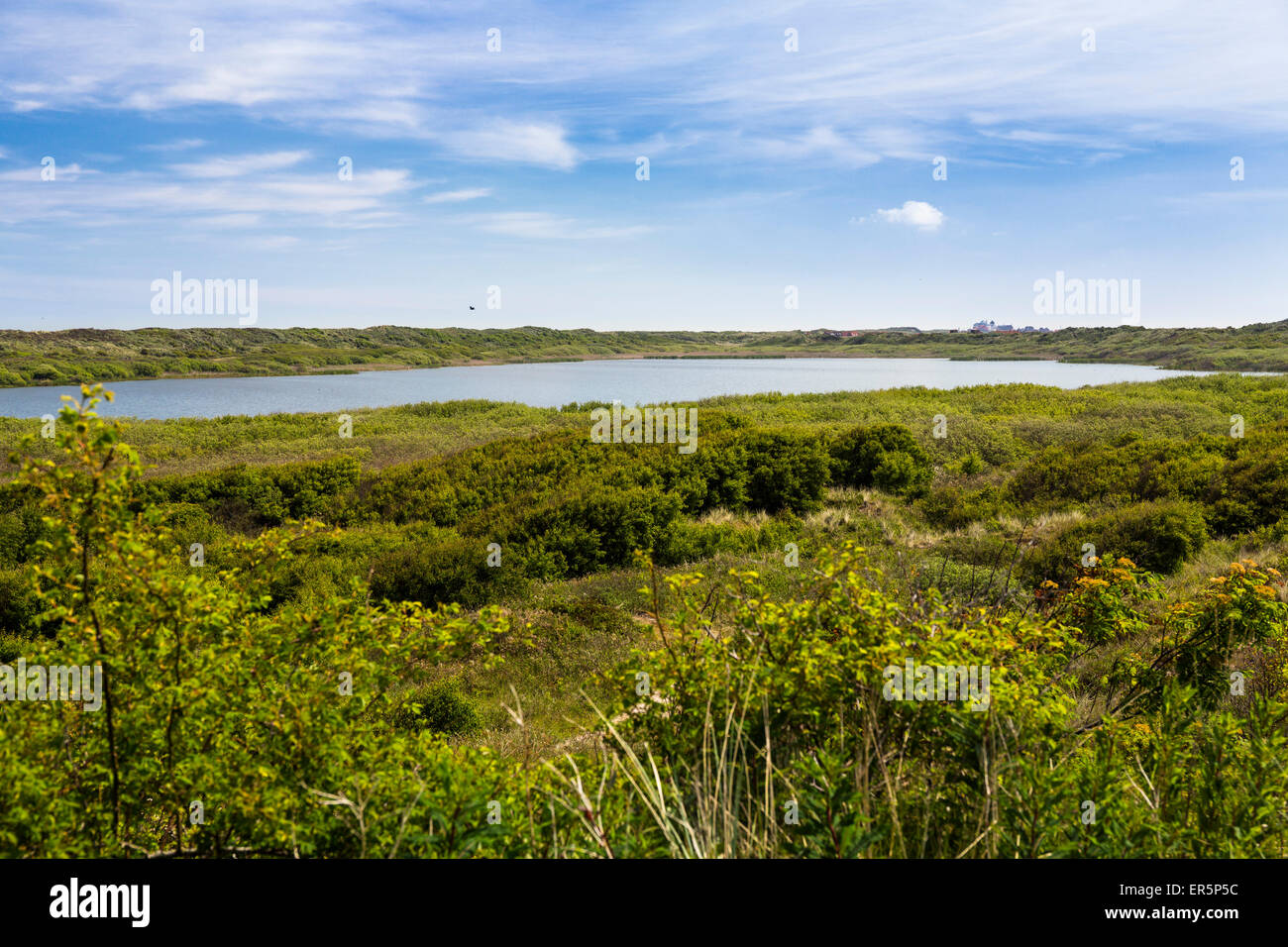 L'île de Juist, lac, Marteau, Nationalpark, Mer du Nord, îles de la Frise orientale, Frise orientale, Basse-Saxe, Allemagne, Europe Banque D'Images