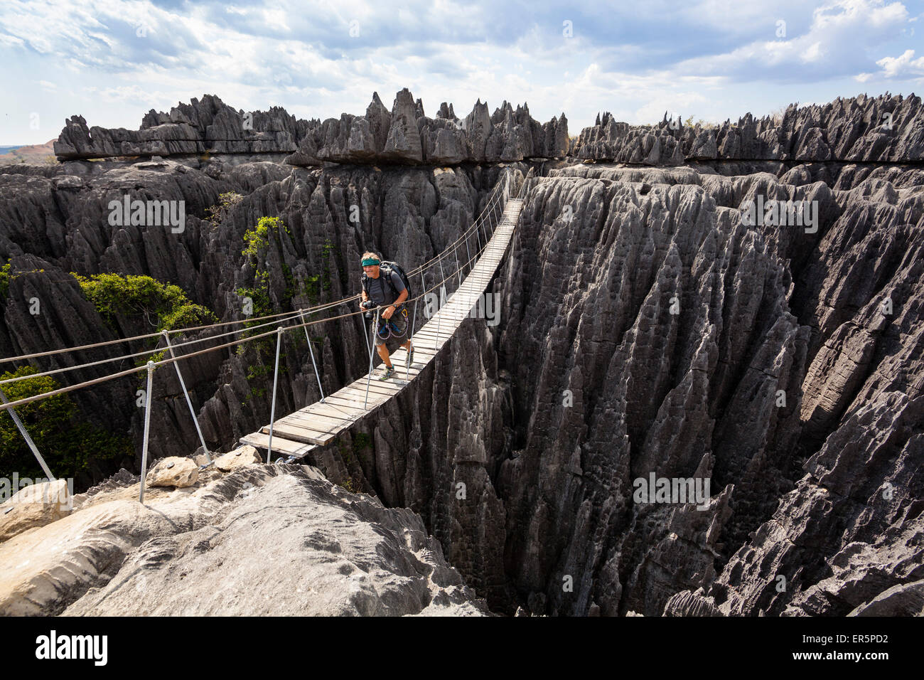 Pont suspendu de Tsingy-de-Parc National de Bemaraha, Mahajanga, Madagascar, Afrique Banque D'Images