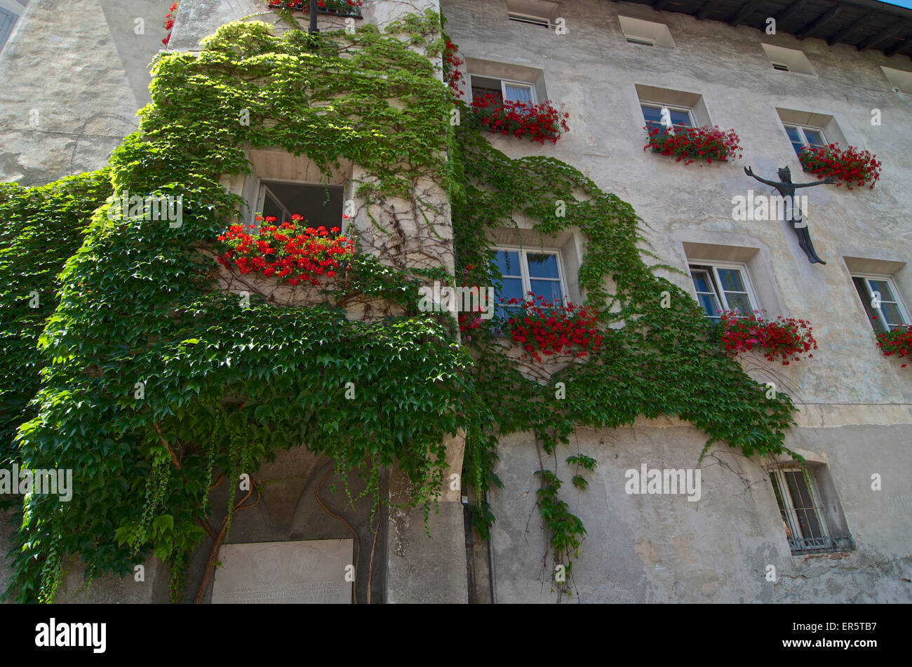 Du Parthenocissus tricuspidata grimper un mur de la maison, avec germaniums dans la fenêtre des boîtes, Bressone, Val di'Isarco, Dolomite Alp Banque D'Images