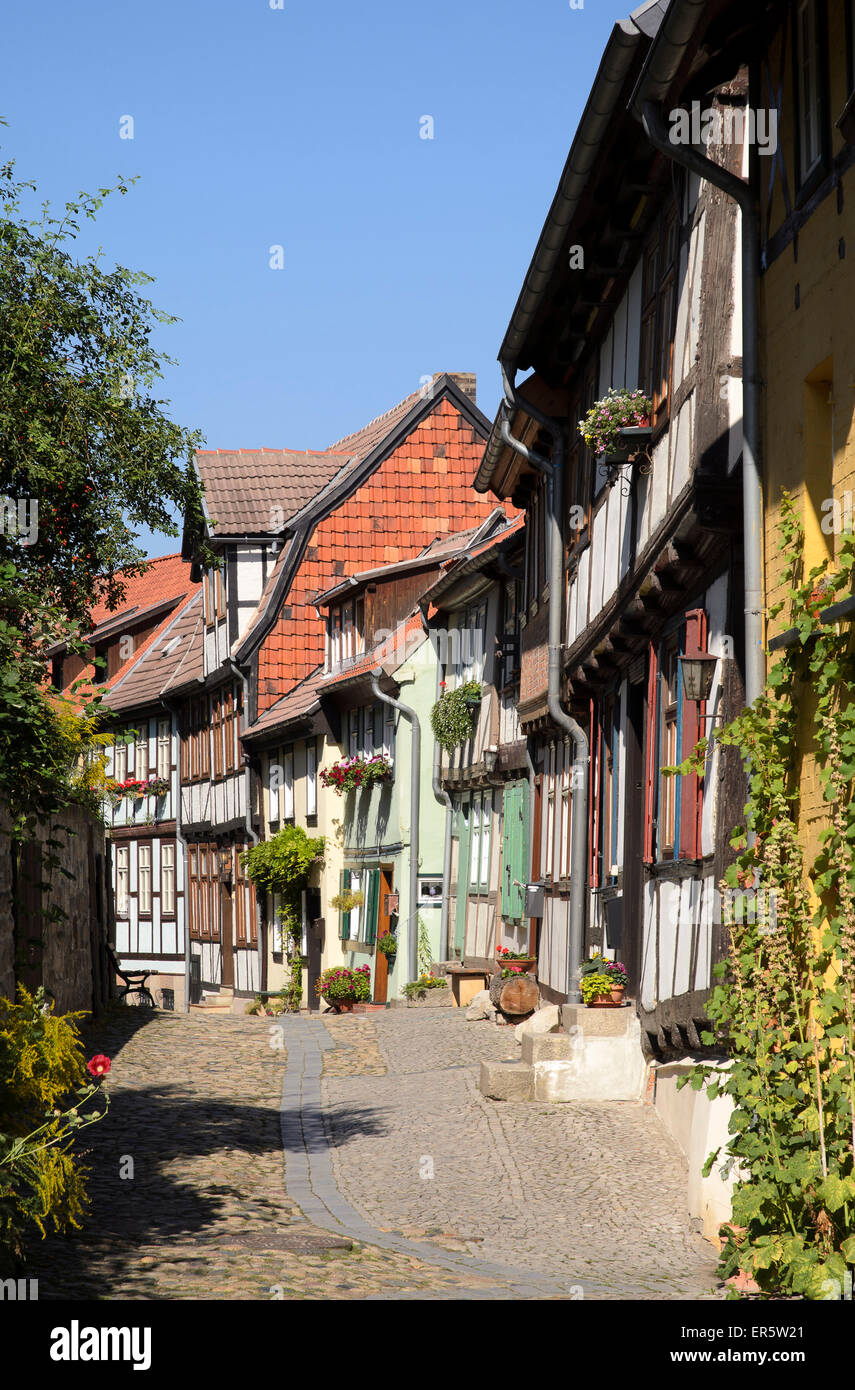 Maisons à colombages dans une ruelle sur Quedlinburg Schlossberg, sous le château et collégiale de St Servatius, Quedlinbu Banque D'Images